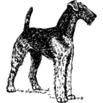 Ilustração em vetor Airedale Terrier
