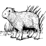 Capybara vector clip art