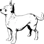 Imagen vectorial de Chihuahua