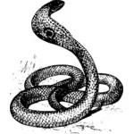 Kobra yılanı vektör küçük resim