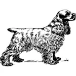 Illustration vectorielle de Cocker Spaniel