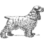 Cocker Spaniel en niveaux de gris dessin vectoriel