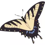 Vector image of tropical butterfly