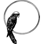 Ilustrasi vektor burung beo di bingkai