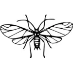 Imagen ampliada de mosca