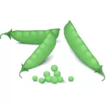 绿豌豆矢量图像