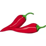 Vektor-Illustration des mexikanischen Chili peppers