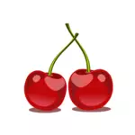 Glossy cherry frukt