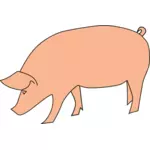 Cerdo forrajeo vector imagen prediseñada