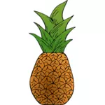 Vector image of tropical pineapple