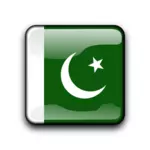 Bendera Pakistan vektor dalam bentuk persegi