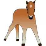 Vector drawing of young foal