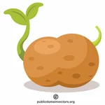 Sayur kentang