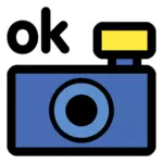 Foto kamera OK ikon vektor klip seni