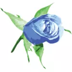 蓝色玫瑰矢量图像