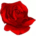 Rose rot