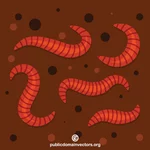 红蠕虫