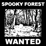 Straszne lasu wanted plakat ilustracji wektorowych