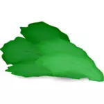 Folha de salada verde