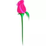 Rose auf weißem Hintergrund, Vektor-Bild