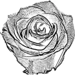 Vector uit de vrije hand tekenen van roos