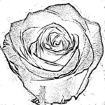 Imagine de vector floare de trandafir