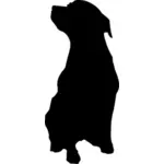 罗威纳犬的矢量绘图