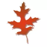Frunze de stejar vector illustration