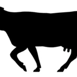 Cattle ahead road sign icon vector image