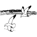 鲱鱼鸥科鸟在飞行矢量图