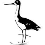 Stilt bird vector image