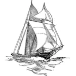 Barca a vela di disegno