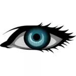 Blauwe vrouwelijke oog vector tekening