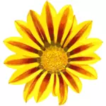 Pictat de floarea-soarelui