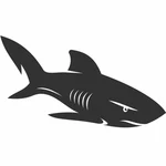 Silhueta de tubarão branco