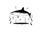 Desenho vetorial de tubarão