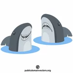 Haaien in het water