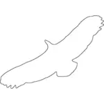 Desenho vetorial de abutre Griffon