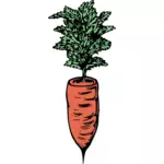 Einfache Karotte