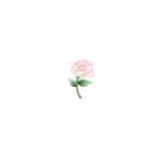 صورة متجهية واحدة من الورد