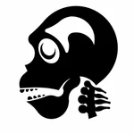 Skull skeleton silhouette