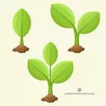 Malé zelené rostliny