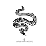 Venomous snake