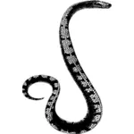 Serpent noir et blanc