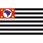 Bandeira de Sao Paulo flagga vektorbild