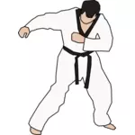Combattente di Taekwondo