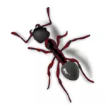 Ant with shadow