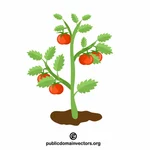 Art de clip de plante de tomate