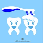 Toothbrush cleans teeth