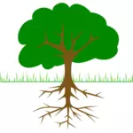 Tree branches and root vector drawing